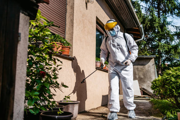 Insect Control in Ramsey, MN