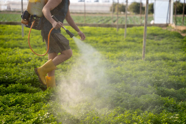 Professional Pest Control in Ramsey, MN