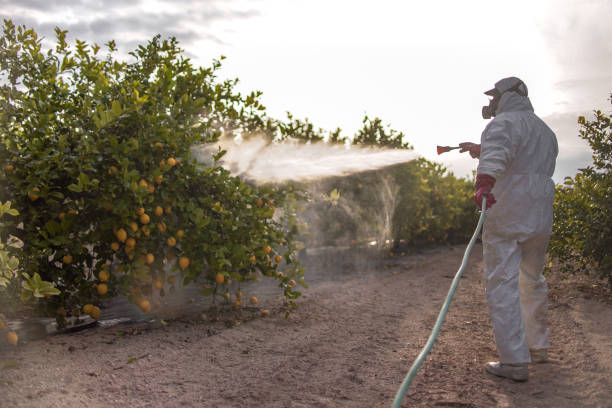 Best Pest Control Cost  in Ramsey, MN