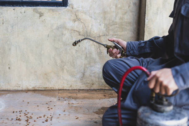 Best Rat Extermination Near Me  in Ramsey, MN